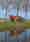KV_ixtrack_082-650