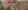 Kv-RN-OL-8082-650