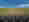 GEOSEED
