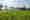KV-iXtrackT3-0089-gov4889ax8