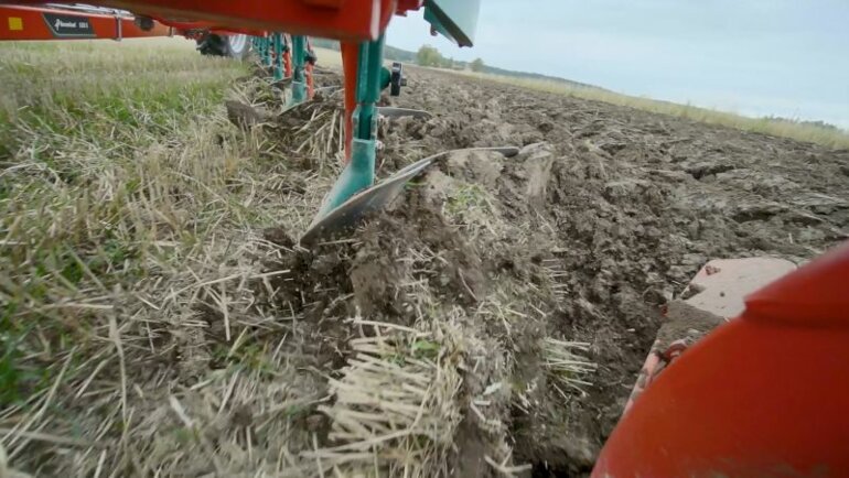 Skimmer-in-action-png-ghh7dmp98o